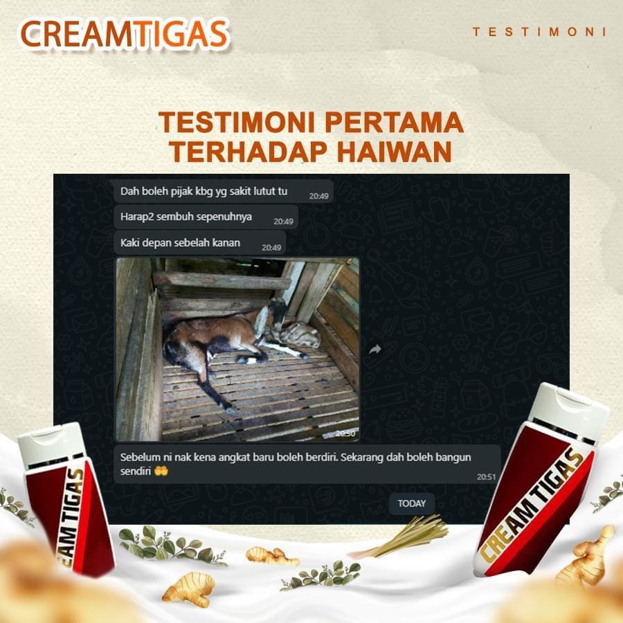 testimoni-cream-tigas21